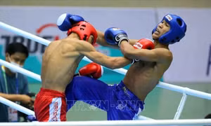 Kickboxing Việt Nam tham dự Giải vô địch châu Á với lực lượng mạnh nhất
