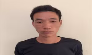 Công an Hà Nội liên tiếp bắt hai đối tượng manh động, cướp giật tài sản