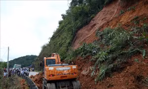 Lập đề án cảnh báo sớm thiên tai khu vực miền núi, trung du Việt Nam