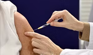Giới chuyên gia nhấn mạnh tầm quan trọng của việc phát triển vaccine phổ quát chống mọi loại biến thể