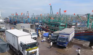 Chồng chéo trong quy hoạch cảng tại Quy Nhơn - Bài 1: Tàu thuyền neo đậu khó khăn