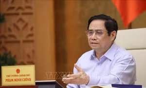Nhân rộng những phác đồ điều trị hiệu quả, giảm thiểu số lượng bệnh nhân tử vong 