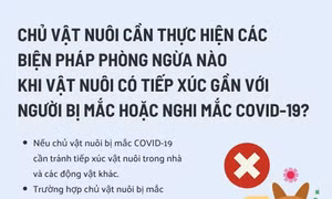 Hướng dẫn giám sát phòng chống lây nhiễm COVID-19 trên động vật
