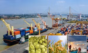Tháo gỡ điểm nghẽn, mở đường cho xuất khẩu nông lâm thủy sản vượt 74 tỷ USD