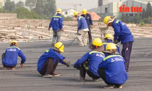 Công nhân bám công trường Vành đai 3 xuyên Tết để giữ tiến độ dự án