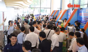 TP Hồ Chí Minh đẩy mạnh kết nối hệ sinh thái sống xanh và công nghệ thông minh