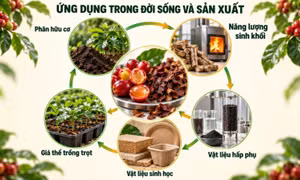 TP Hồ Chí Minh: Tận dụng phụ phẩm cà phê để tạo giá trị gia tăng