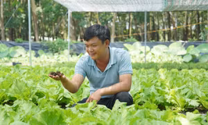 Nông nghiệp đô thị xanh từ những mô hình tái chế phụ phẩm