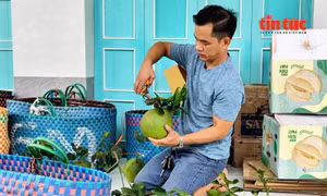 Nông sản Việt trước bước ngoặt chất lượng - Bài 1: Từ lợi thế sản lượng đến áp lực tiêu chuẩn