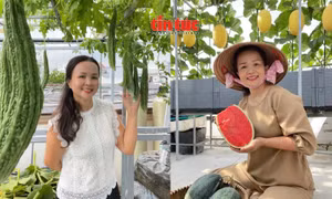Người phụ nữ 'biến' sân thượng thành khu vườn nông sản bốn mùa