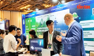 TP Hồ Chí Minh: Phấn đấu trở thành trung tâm đổi mới sáng tạo và khởi nghiệp tầm cỡ quốc tế