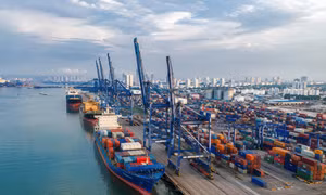 Nông sản Việt 2026 - Bài cuối: Lối thoát cho bài toán 73 tỷ USD