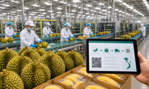 Nông sản Việt trước bước ngoặt chất lượng - Bài cuối: Chìa khóa chinh phục thị trường tỷ dân