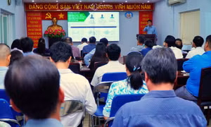 TP Hồ Chí Minh xác định 27 vị trí cần thu hút nhân tài trong đợt đầu