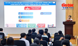 TP Hồ Chí Minh quản lý nông nghiệp theo mô hình chính quyền hai cấp