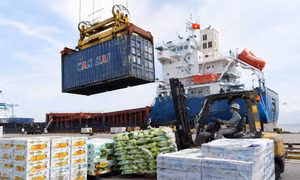 Xuất khẩu nông lâm thủy sản duy trì tăng trưởng tích cực