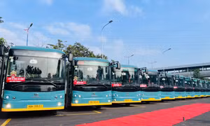 TP Hồ Chí Minh: Khôi phục tuyến xe buýt 86 và điều chỉnh lộ trình hàng loạt tuyến khác