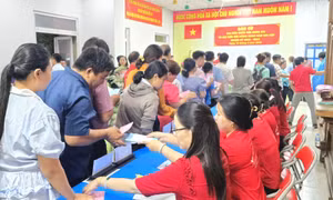 TP Hồ Chí Minh: Diễn tập bầu cử tại chung cư đông cử tri, đẩy mạnh tuyên truyền trực quan