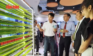 TP Hồ Chí Minh tổ chức Techmart Công nghệ xanh và Tuần hoàn 2026