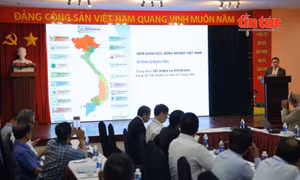 Thúc đẩy kết nối công nghệ và thương mại nông sản Việt Nam - Nhật Bản