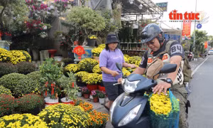 TP Hồ Chí Minh đón sắc xuân sớm, tiếp sức nhà vườn miền Tây