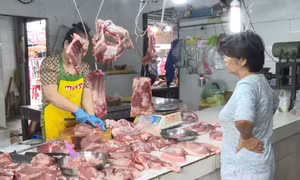 Có nên tái đàn trong thời điểm giá thịt lợn tăng cao?