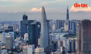 TP Hồ Chí Minh hợp nhất dữ liệu sàn giao dịch công nghệ giai đoạn mới