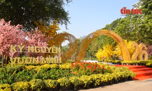 TP Hồ Chí Minh: Diện mạo mới của khu đất từng là Nhà thi đấu Phan Đình Phùng