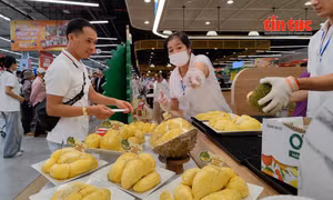 Buffet sầu riêng thưởng thức không giới hạn hút khách tại TP Hồ Chí Minh
