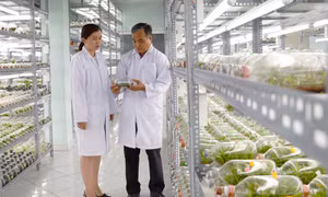 TP Hồ Chí Minh chuyển từ thu hút nhân tài sang trọng dụng nhân tài