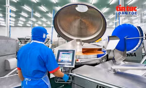 Tạo đà cho nông sản Việt - Bài cuối: Hoàn thiện thể chế, phát huy vai trò doanh nghiệp