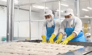 Gỡ điểm nghẽn cho xuất khẩu nông sản - Bài cuối: Đồng hành cùng doanh nghiệp