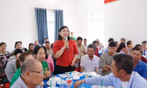 TP Hồ Chí Minh: Lắng nghe ngư dân để tháo gỡ khó khăn trong khai thác thủy sản