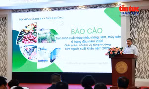 Xuất khẩu tăng trưởng nhưng chịu sức ép từ biến động thị trường