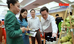 Nông sản, thủy sản Việt Nam trước sức ép tiêu chuẩn từ EU và Anh