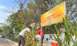 Thành phố Thủ Đức chuyển hóa bãi rác thành công viên xanh
