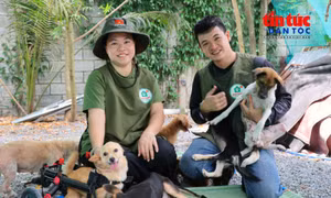 Người phụ nữ dựng 'Nhà Xanh' cưu mang 150 chú chó bị bỏ rơi
