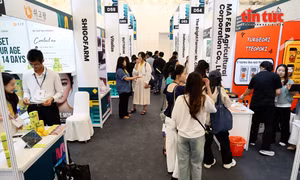 Doanh nghiệp Việt - Hàn tăng kết nối trong lĩnh vực công nghệ, AI