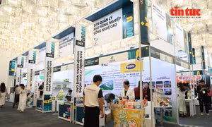 Mega Us Expo 2025 mở ra cánh cửa giao thương giữa doanh nghiệp Việt Nam và Hàn Quốc