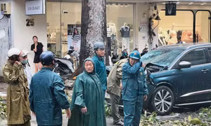 TP Hồ Chí Minh khẩn trương triển khai phương án ứng phó ảnh hưởng bão số 3