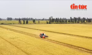 Cơ giới hóa nông nghiệp tăng tốc, mở rộng cơ hội hợp tác quốc tế tại Việt Nam