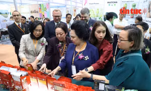 Hơn 300 thương hiệu quốc tế tham gia Triển lãm Fi Vietnam 2026 tại TP Hồ Chí Minh