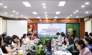 Phát triển nhóm trẻ độc lập tư thục vì nhu cầu của công nhân