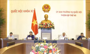 Tán thành việc thành lập Văn phòng Đoàn đại biểu Quốc hội và HĐND cấp tỉnh