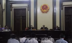 Bắt tạm giam nguyên Phó Tổng giám đốc VN Pharma