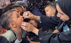 UNICEF sẽ bổ sung dinh dưỡng cho trẻ em tại Dải Gaza