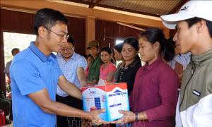 Lắp đặt hệ thống điện mặt trời miễn phí cho đồng bào Hre, tỉnh Quảng Ngãi
