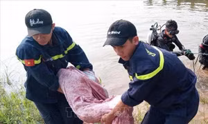 Một học sinh đuối nước thương tâm tại khu vực đập ngăn mặn, thành phố Đông Hà