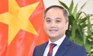 Xung lực thúc đẩy quan hệ Việt Nam - New Zealand tiếp tục phát triển mạnh mẽ, tích cực và toàn diện