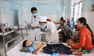Sốt xuất huyết gia tăng mạnh, Bộ Y tế yêu cầu các địa phương giám sát chặt